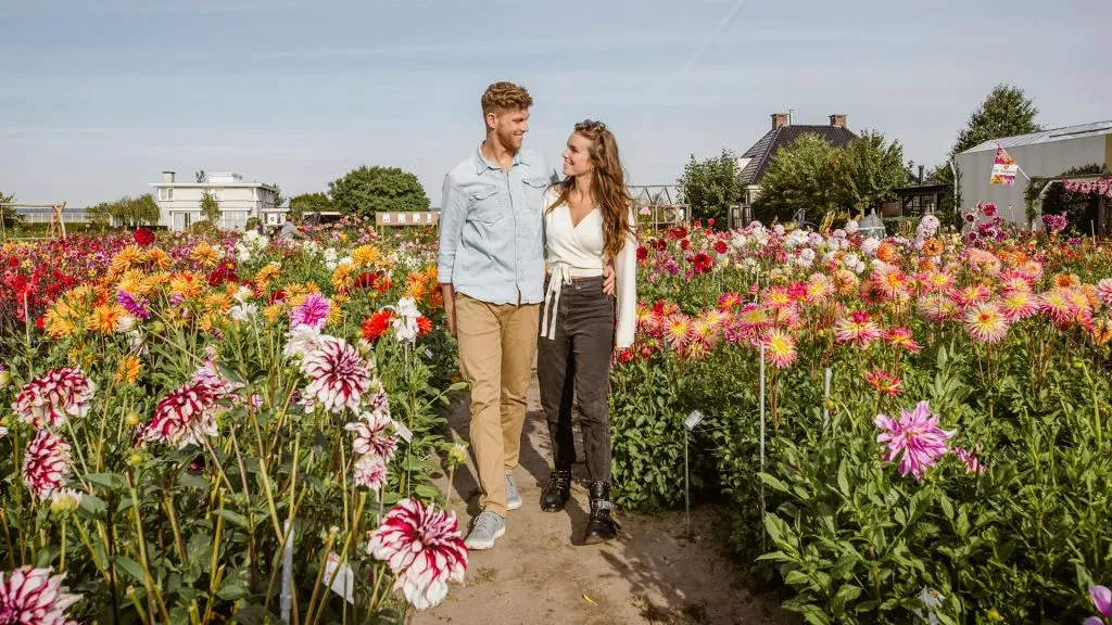 Drive-It-Yourself Dune & Summer Flower Tour