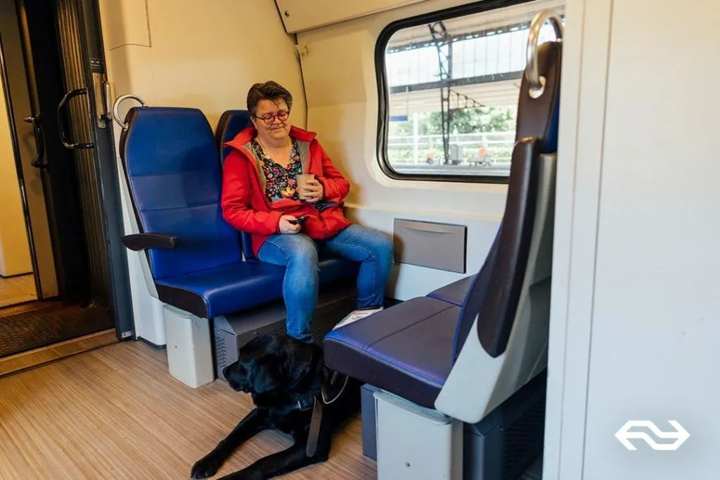Rotterdam : Transfert en train vers/depuis Leiden