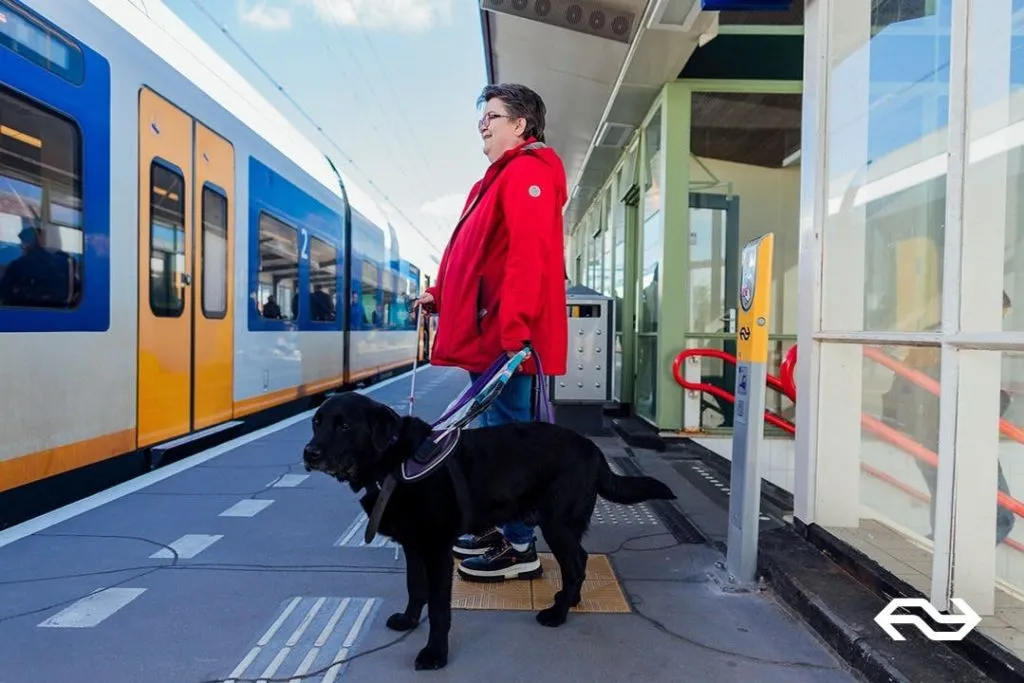 Rotterdam : Transfert en train vers/depuis Leiden
