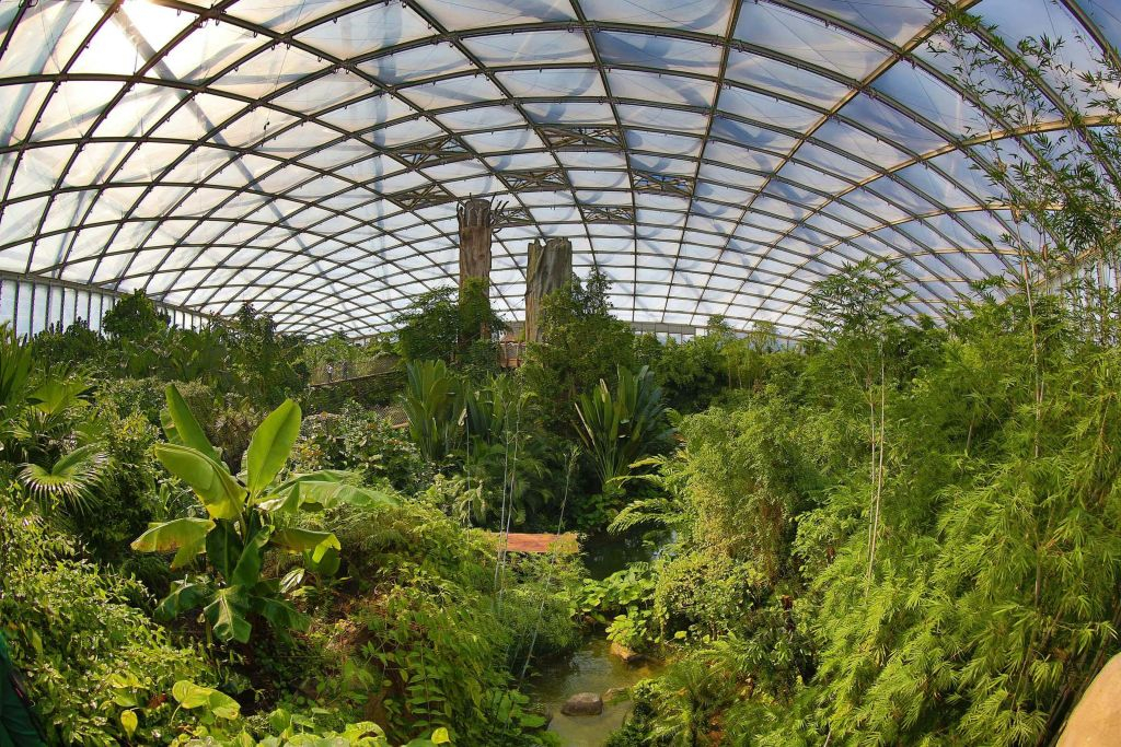 Leipzig Zoo + Day travel card "Leipzig (zone 110)"