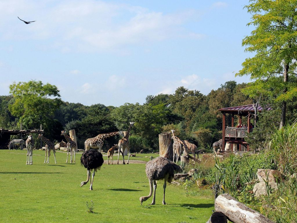 Leipzig Zoo + Day travel card "Leipzig (zone 110)"