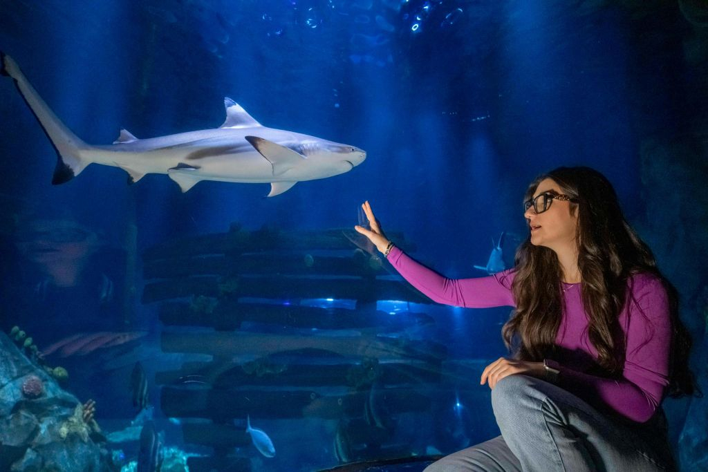 SEA LIFE Konstanz: Entry Ticket