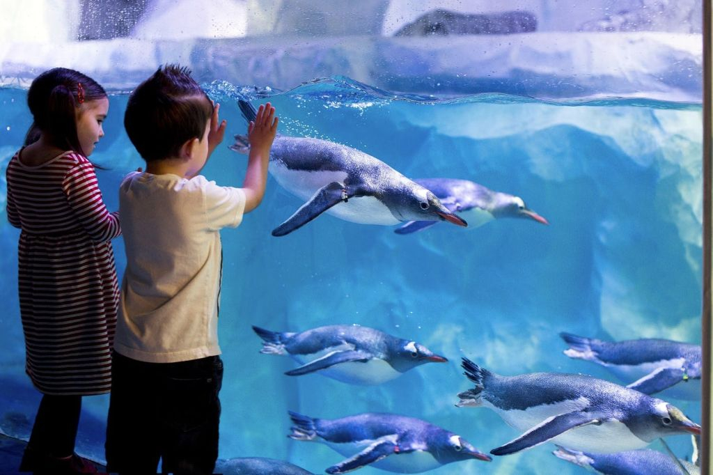 SEA LIFE Konstanz: Entry Ticket