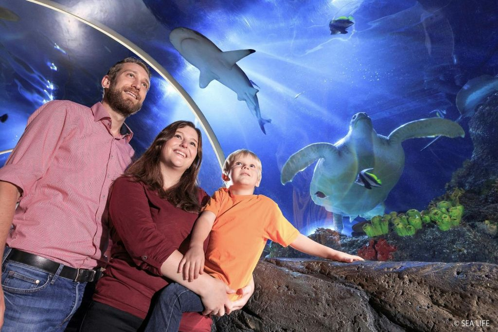 SEA LIFE Konstanz: Entry Ticket