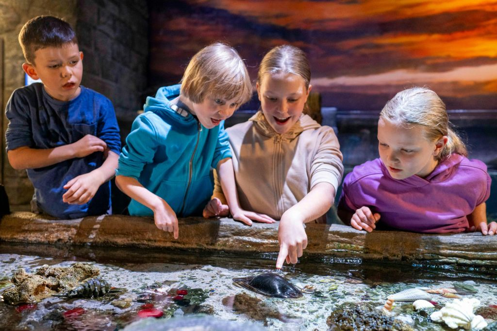SEA LIFE Munich: Entry Ticket