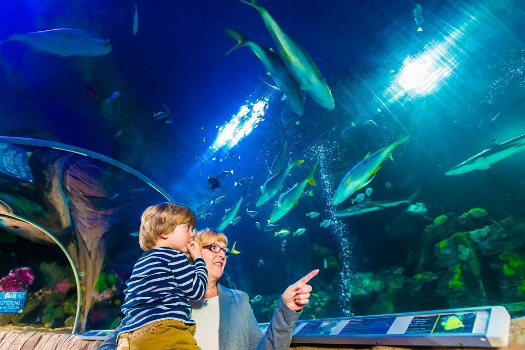 SEA LIFE Munich: Entry Ticket