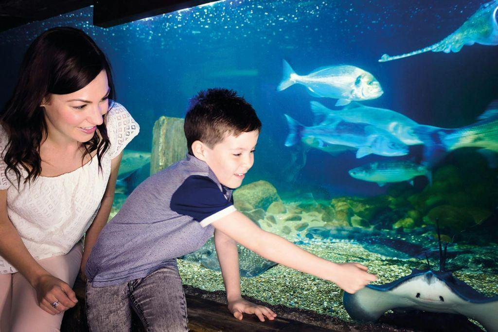 SEA LIFE Munich: Entry Ticket