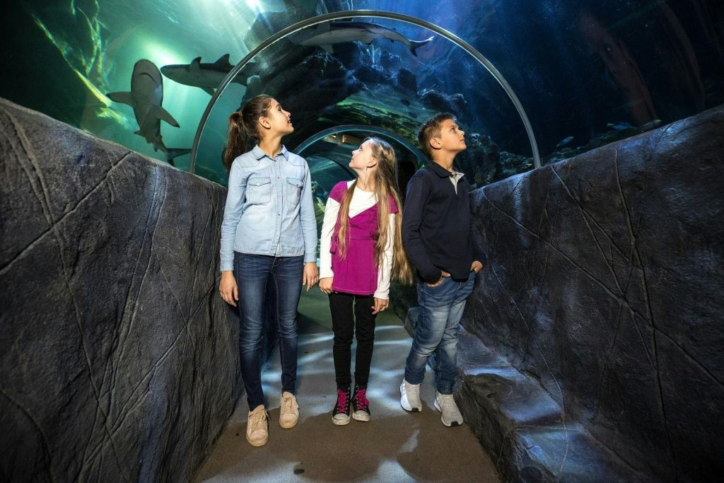 SEA LIFE Munich: Entry Ticket
