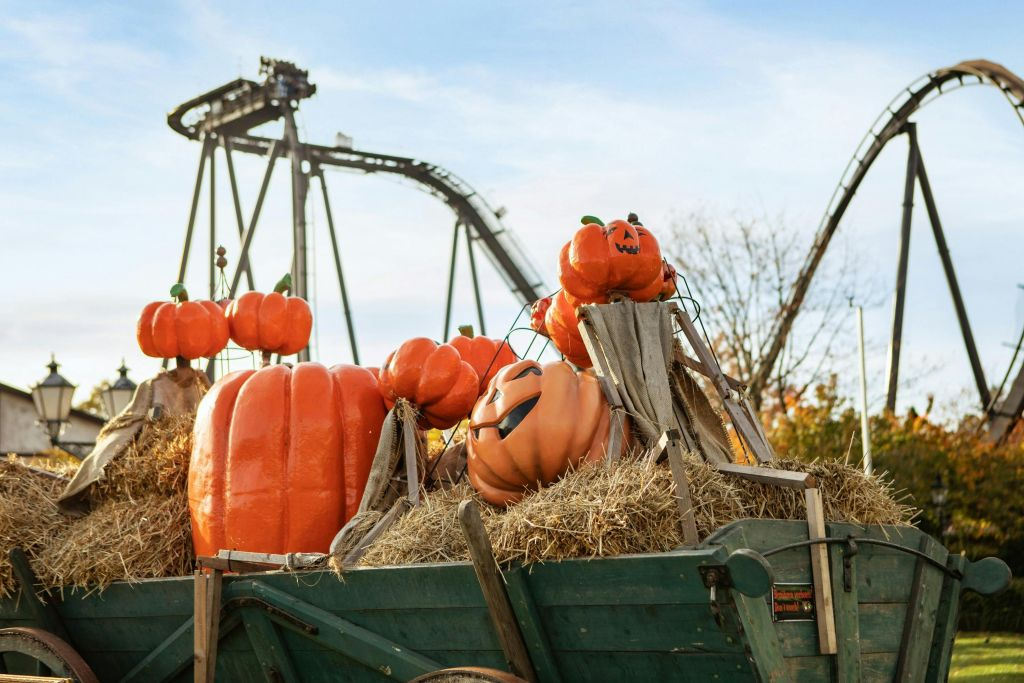 Heide Park Resort: Entry Ticket