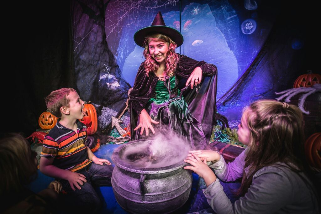 SEA LIFE Hannover: bilhete de entrada
