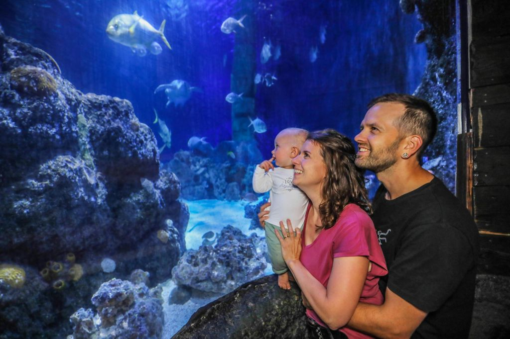 SEA LIFE Hannover: bilhete de entrada