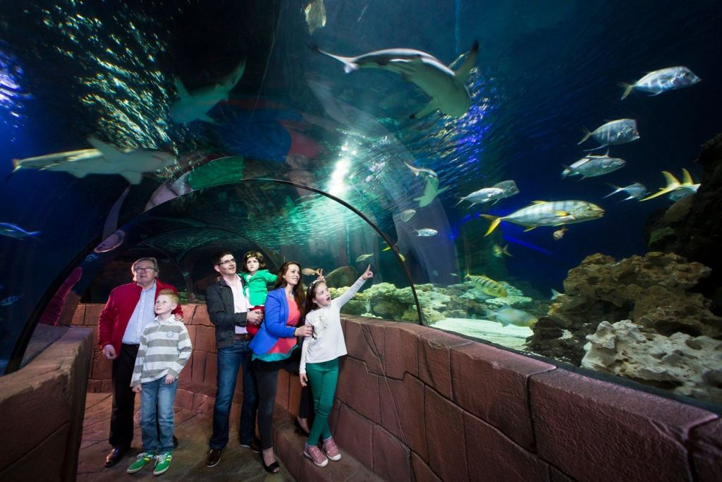 SEA LIFE Timmendorfer Strand: bilhete de entrada