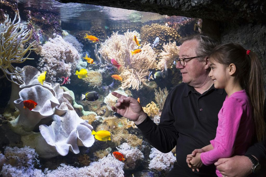 SEA LIFE Speyer: Entry Ticket
