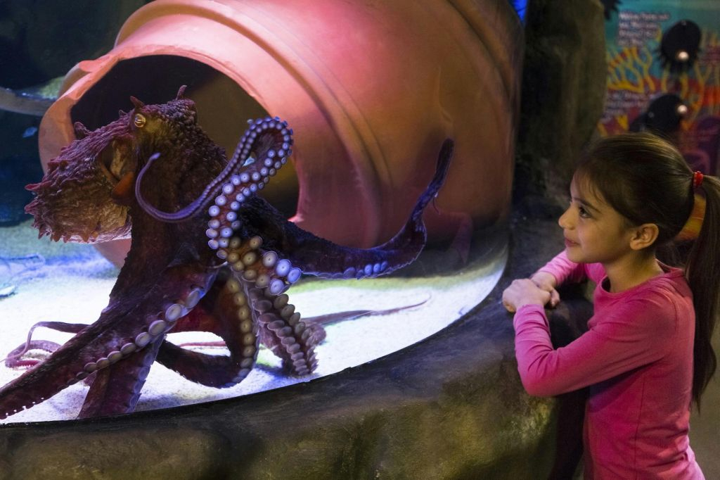SEA LIFE Speyer: Entry Ticket