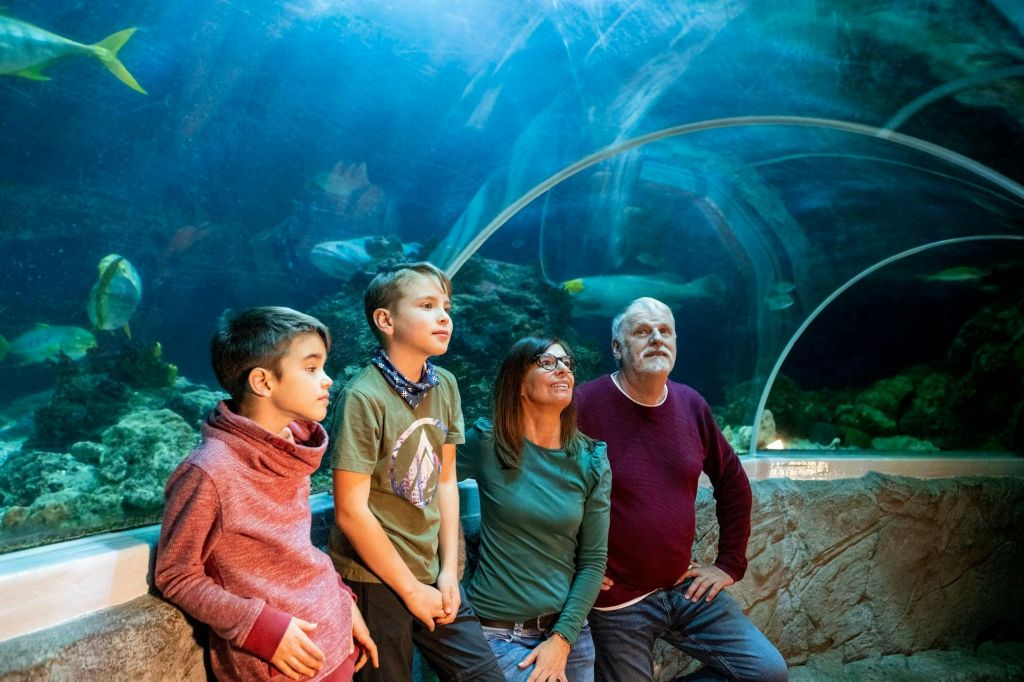 SEA LIFE Speyer: Entry Ticket