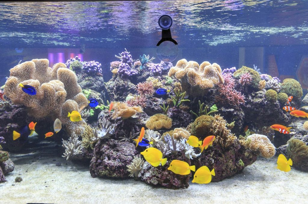 SEA LIFE Speyer: Entry Ticket