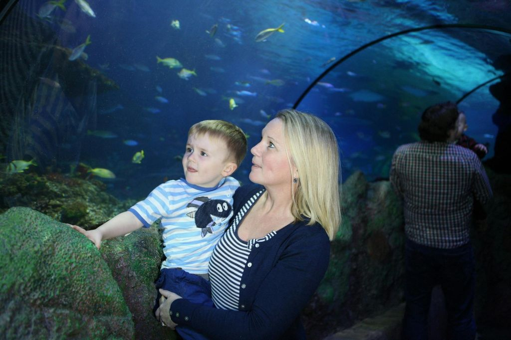 SEA LIFE Speyer: Entry Ticket