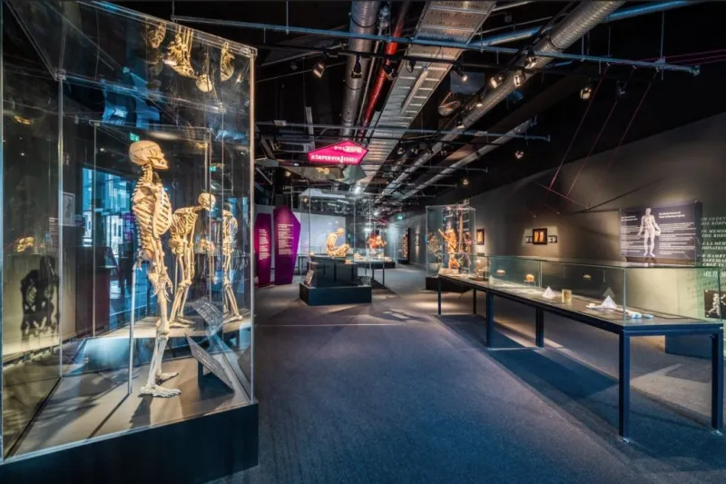 Tickets for BODY WORLDS Berlin - The First Museum of BODY WORLDS 2026 ...