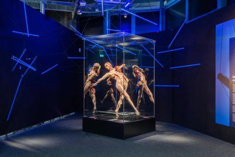 Tickets for BODY WORLDS Berlin - The First Museum of BODY WORLDS 2026 ...