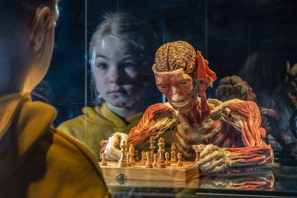 BODY WORLDS Museum Heidelberg - Anatomia da Felicidade