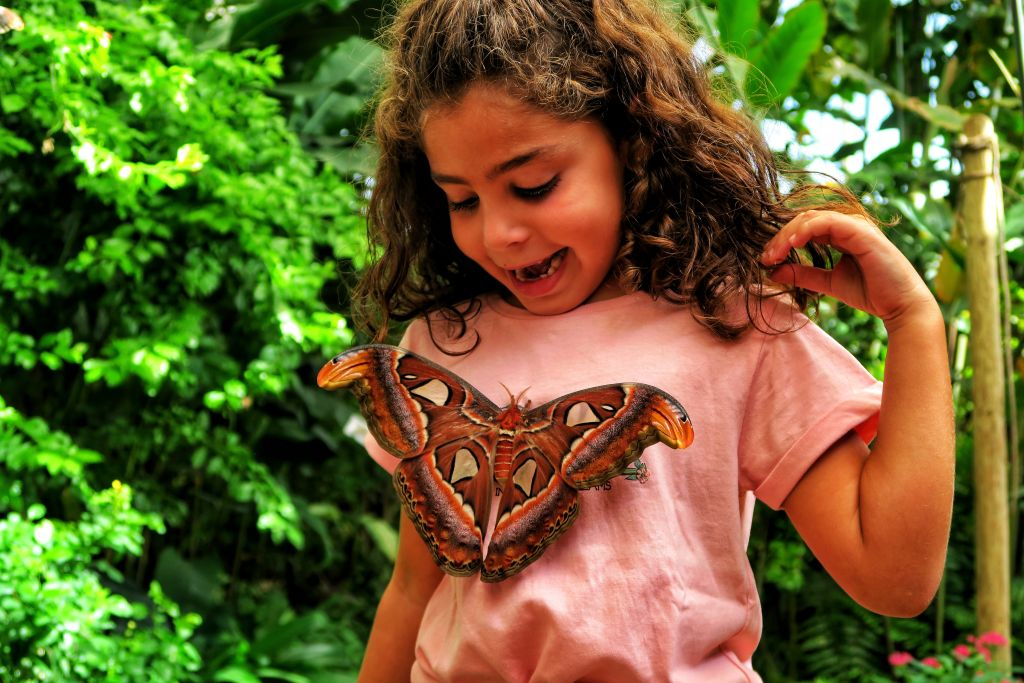 Mariposario de Benalmádena: Entrada