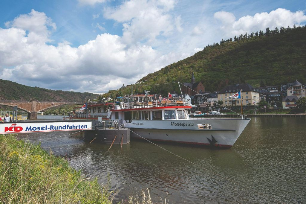 Cochem: Crociera panoramica sul fiume Mosella
