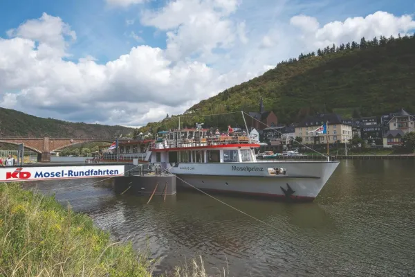 Cochem: Moselle River Panoramic Cruise