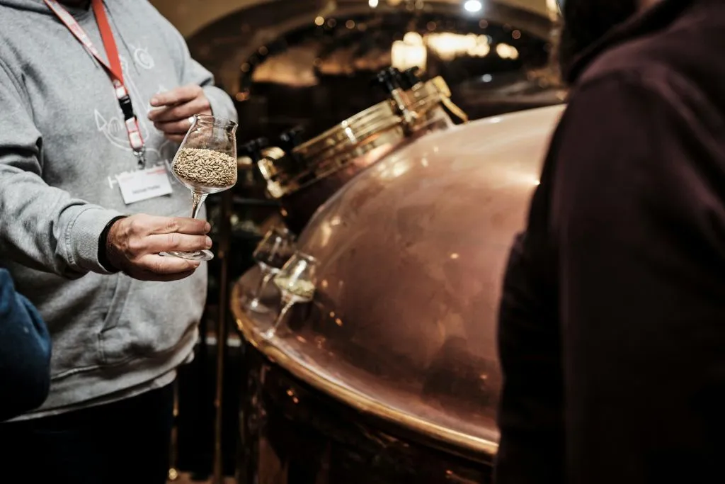 Düsseldorf : Tour des bières artisanales et de la cuisine de rue