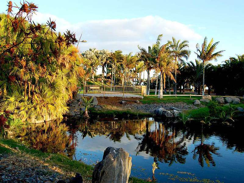 Palmetum de Santa Cruz de Tenerife: Billet d'entrée