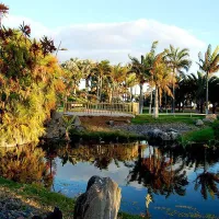 Palmetum of Santa Cruz de Tenerife: Entry Ticket
