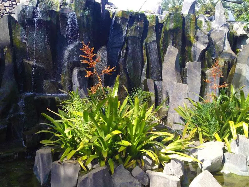 Palmetum de Santa Cruz de Tenerife: Entrada