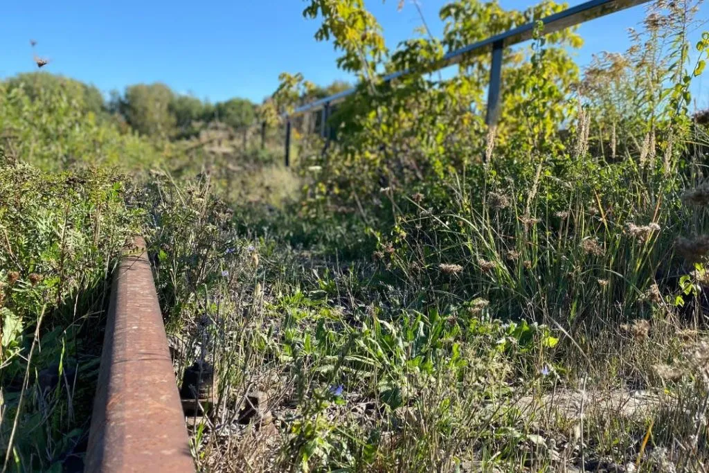 Campo e Memorial de Ravensbrück: Excursão de um dia a partir de Berlim