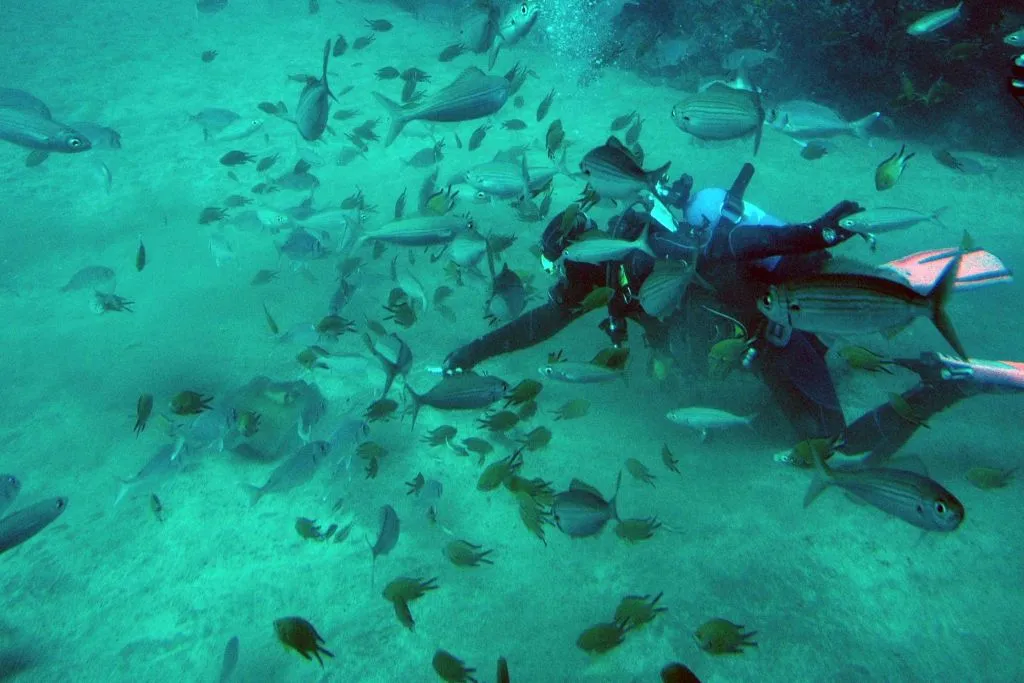 Experiencia en Submarino en Tenerife