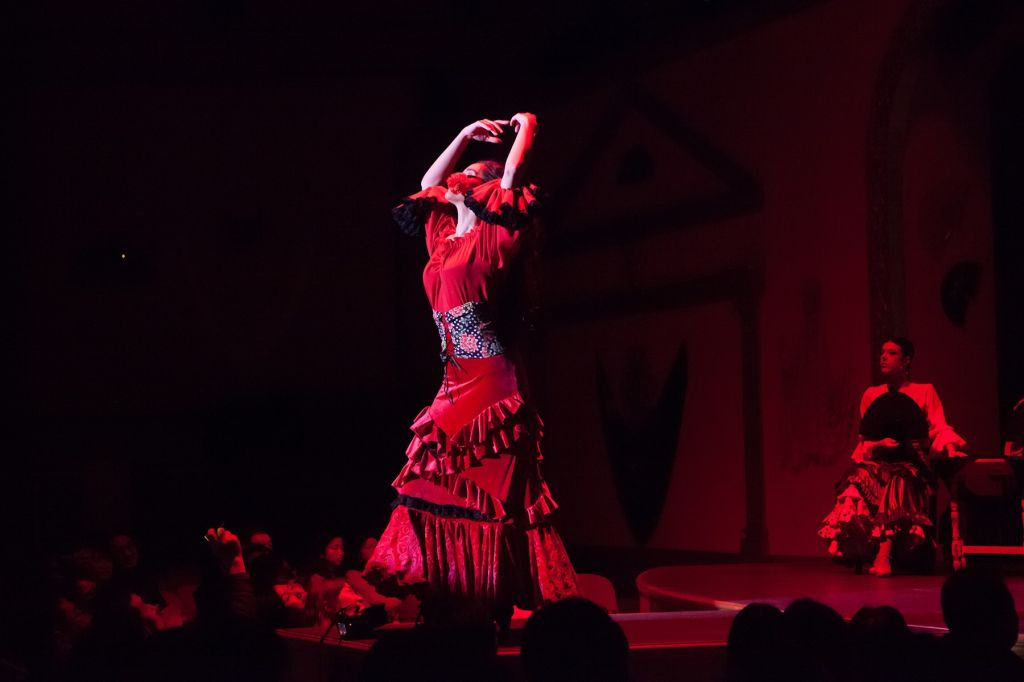 El Palacio Andaluz Sevilla: Solo Flamenco