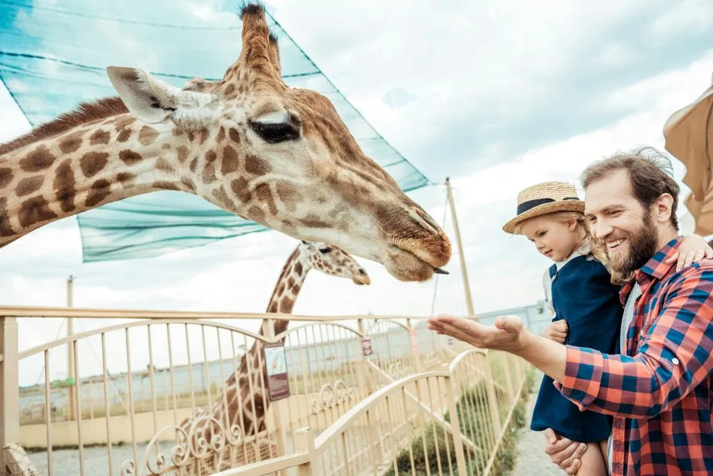 Hellabrunn Zoo: Fast Track Ticket + Roundtrip Transfer from Munich