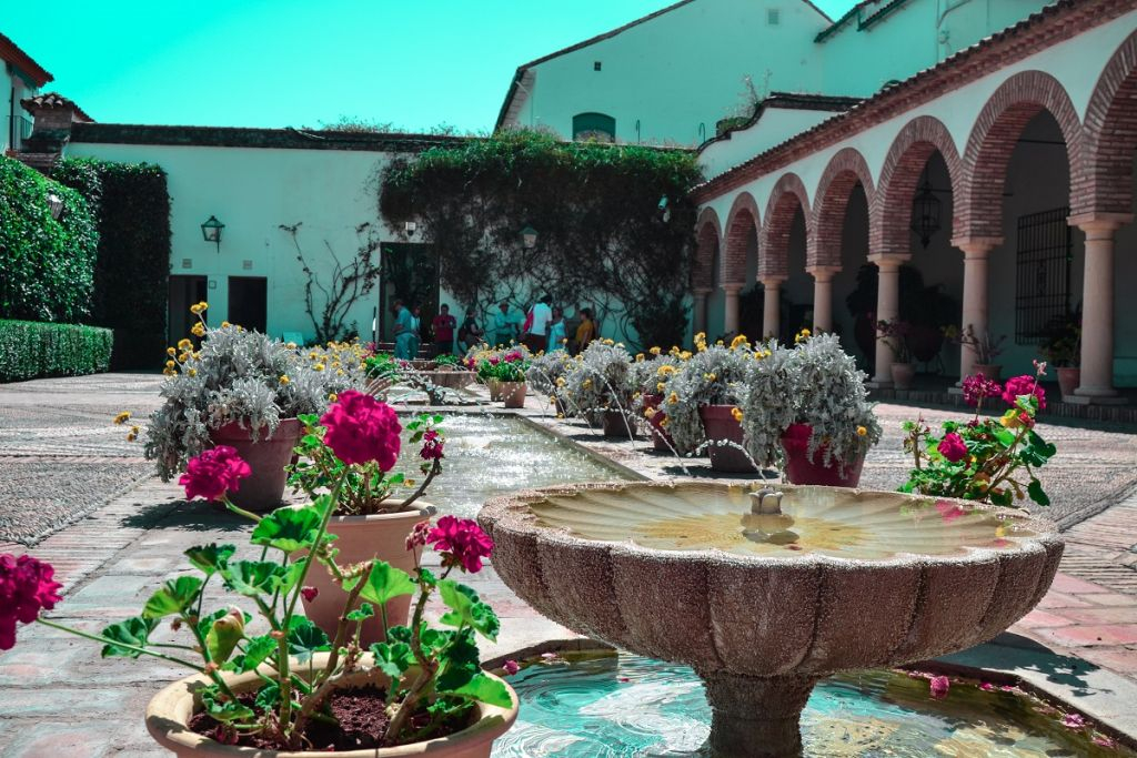 Viana Patios & Palace: Guided Tour