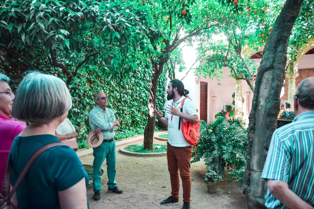 Viana Patios & Palace: Guided Tour