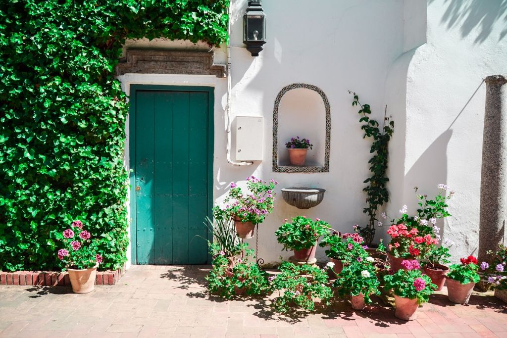 Viana Patios & Palace: Guided Tour