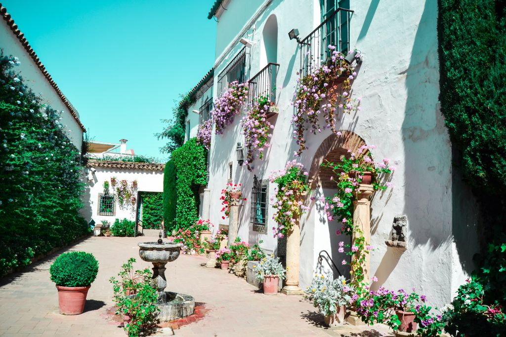 Viana Patios & Palace: Guided Tour