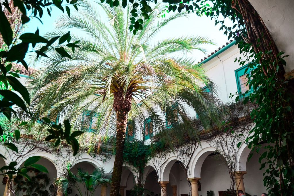 Viana Patios & Palace: Guided Tour