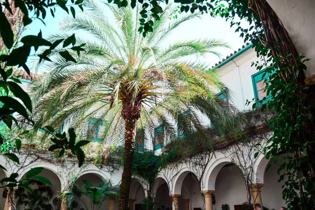 Viana Patios & Palace: Guided Tour