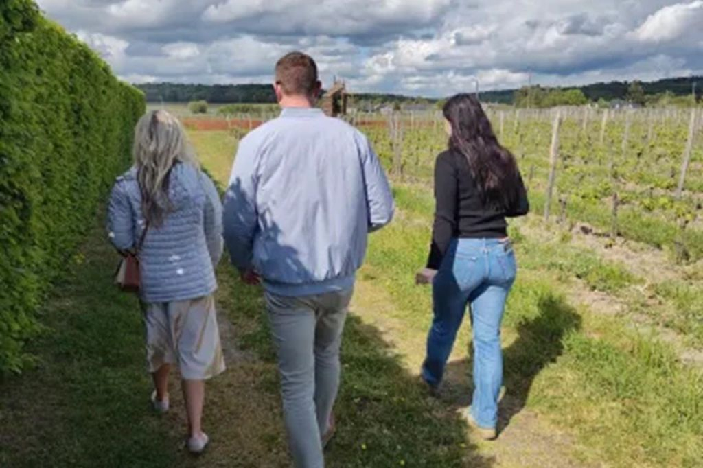 Loire Valley: Guided Chinon & Bourgueil Vineyards Tour from Tours + Wine Tasting