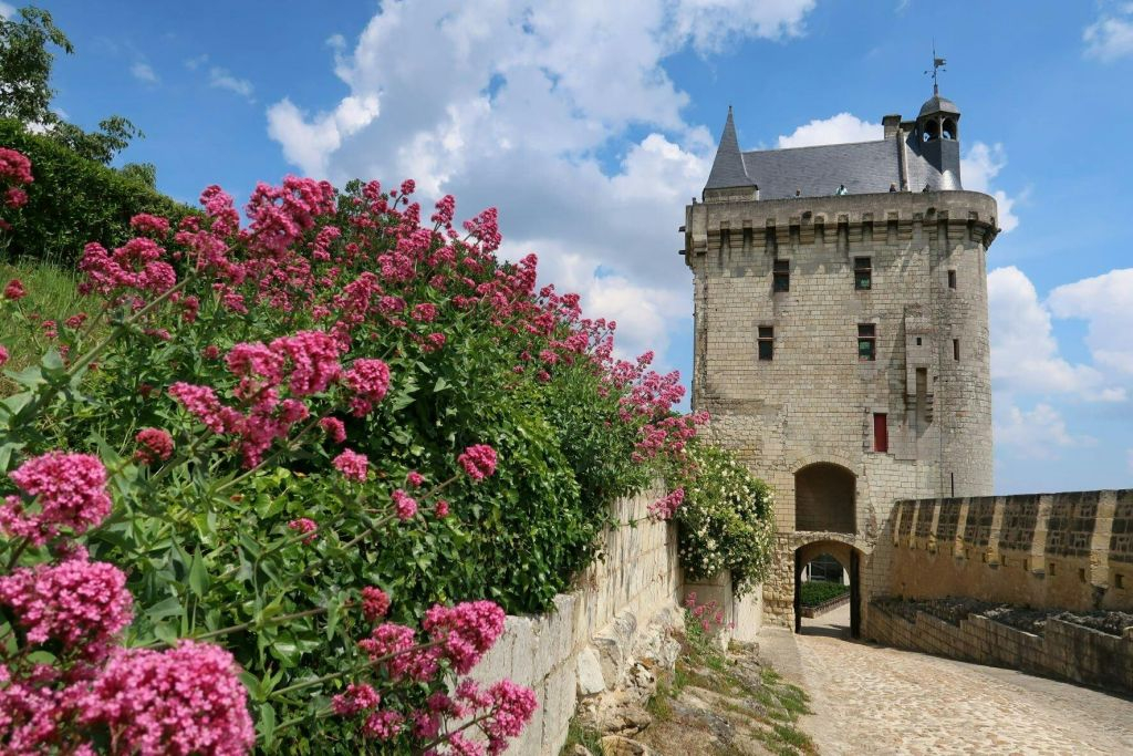 Loire Valley: Guided Chinon & Bourgueil Vineyards Tour from Tours + Wine Tasting
