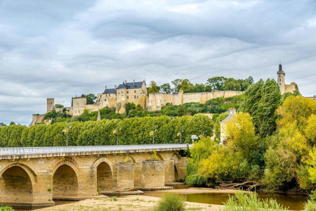 Loire Valley: Guided Chinon & Bourgueil Vineyards Tour from Tours + Wine Tasting