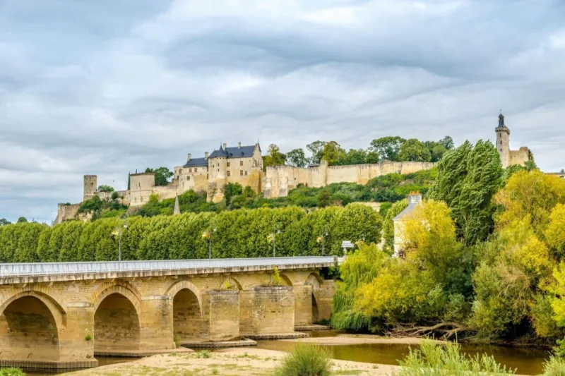 Loire Valley: Guided Chinon & Bourgueil Vineyards Tour from Tours + Wine Tasting