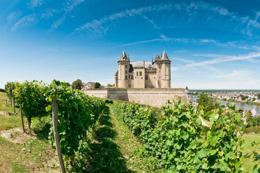 Loire Valley: Guided Chinon & Bourgueil Vineyards Tour from Tours + Wine Tasting