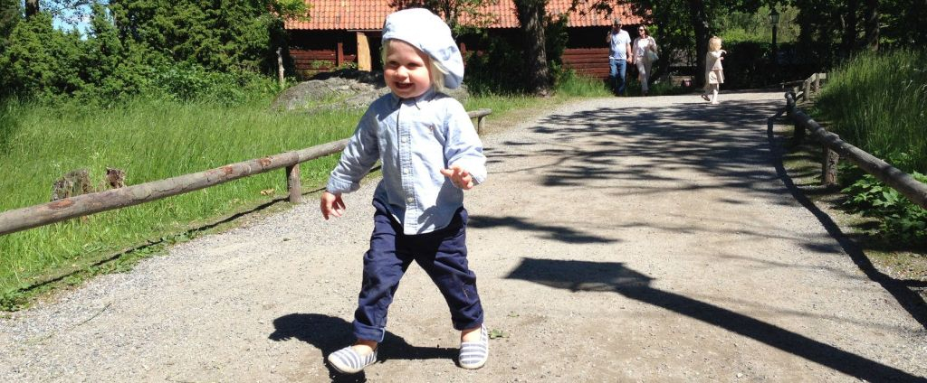 Skansen: Museo all'Aperto e Nordic Zoo