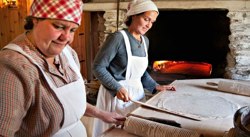 Skansen: Museo all'Aperto e Nordic Zoo