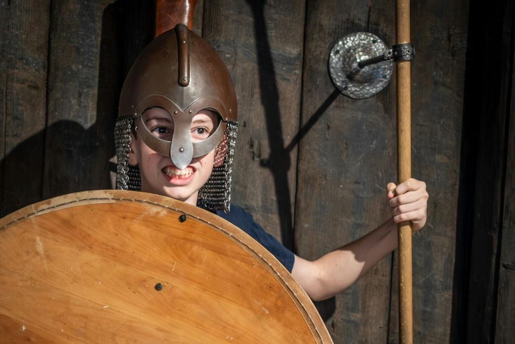 Museo dei Vichinghi: Biglietto d'ingresso