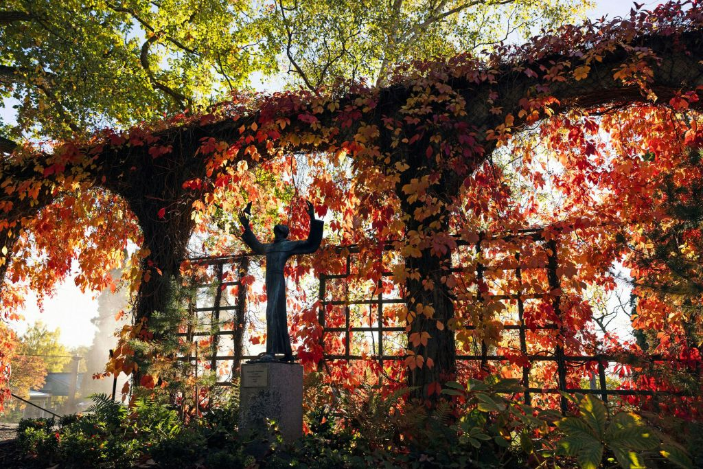 Musée Millesgården : Billet d'entrée